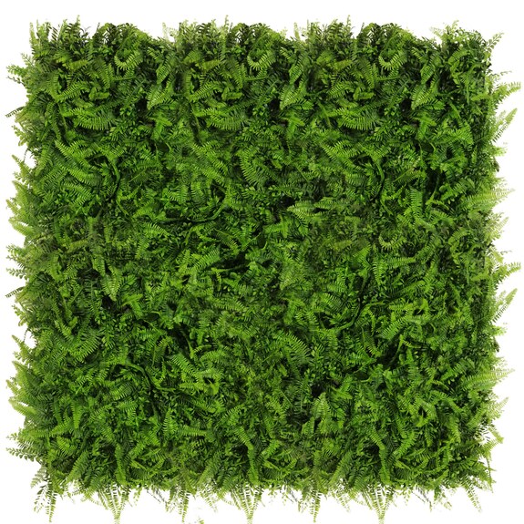 Vertikální zahrada KAPRADINA