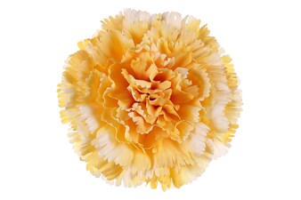 Karafiát KUM3420 květina umělá vazbová