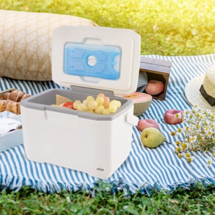 Snímek obrazovky 2025-02-03 094520.png