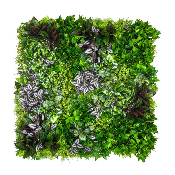 Vertikální zahrada Vineyard