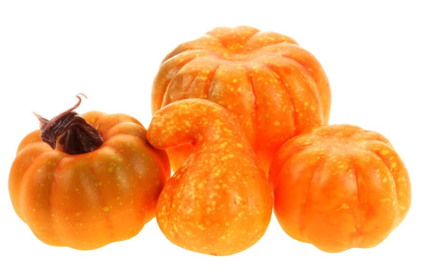 Dýně KN5137, umělá přízdoba, mix 4 druhů v síťce