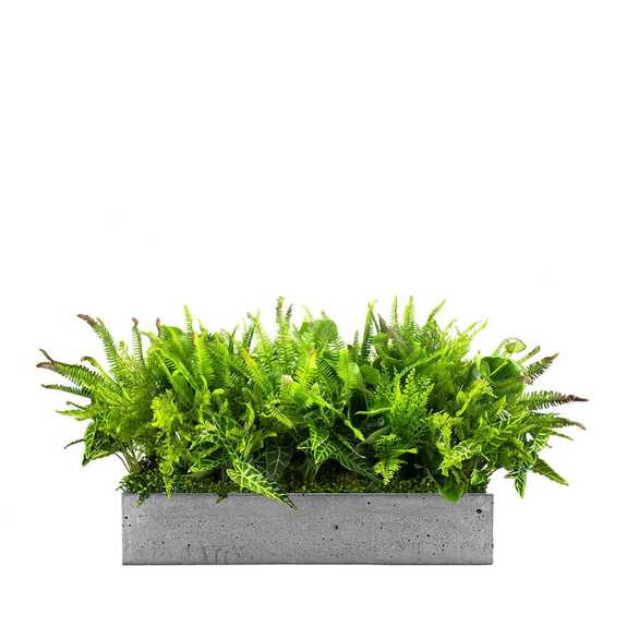 Výplň květináčů pro interiéry - Nature pride