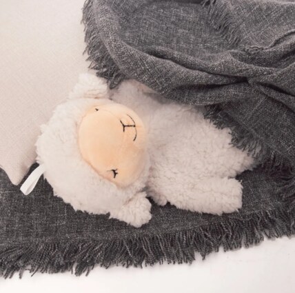 Snímek obrazovky 2025-01-07 141221.png