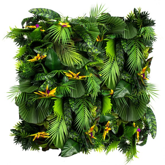 Vertikální zahrada Exotic Vibe