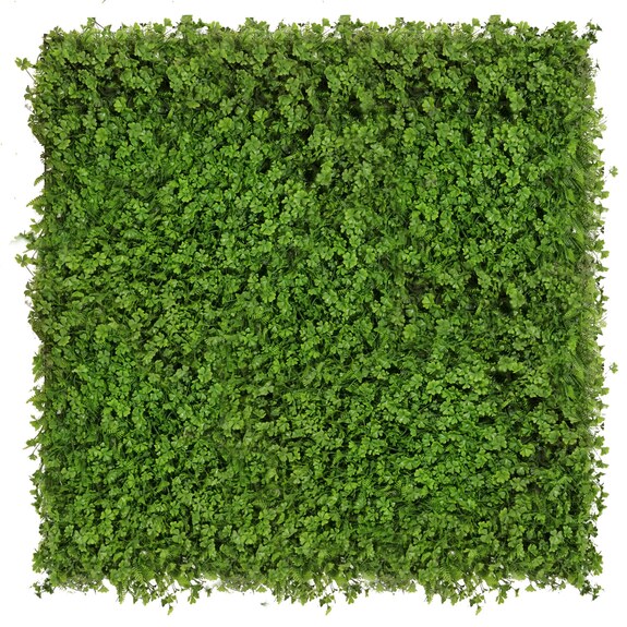 Vertikální zahrada Koniczyna