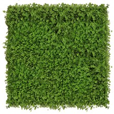 Vertikální zahrada Koniczyna