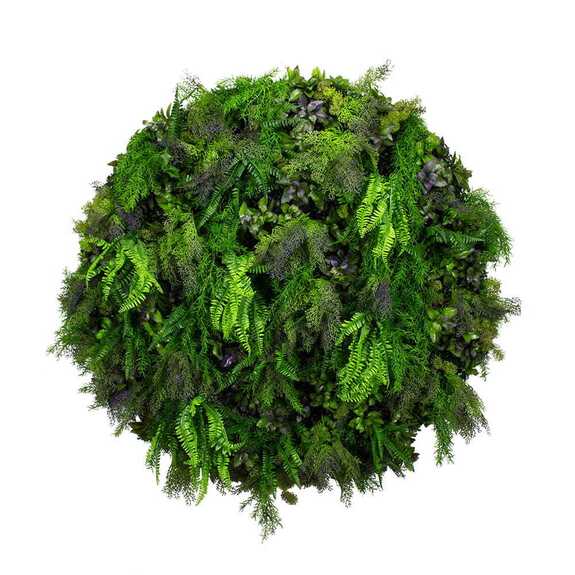 Podhled - FLOATING GARDEN GD512