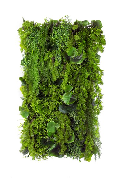 Vertikální zahrada Nenuphar Pond