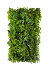 Vertikální zahrada Nenuphar Pond