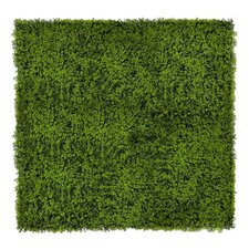 Vertikální zahrada Juniper