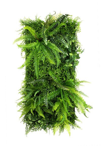 Vertikální zahrada Wild Fern