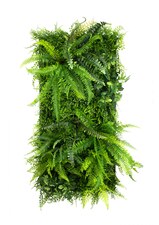 Vertikální zahrada Wild Fern
