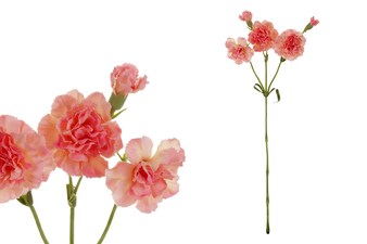 Minikarafiát KT7400