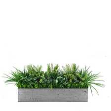 Výplň květináčů pro interiéry - Eagle eye FR