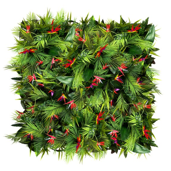 Vertikální zahrada Passionfruit