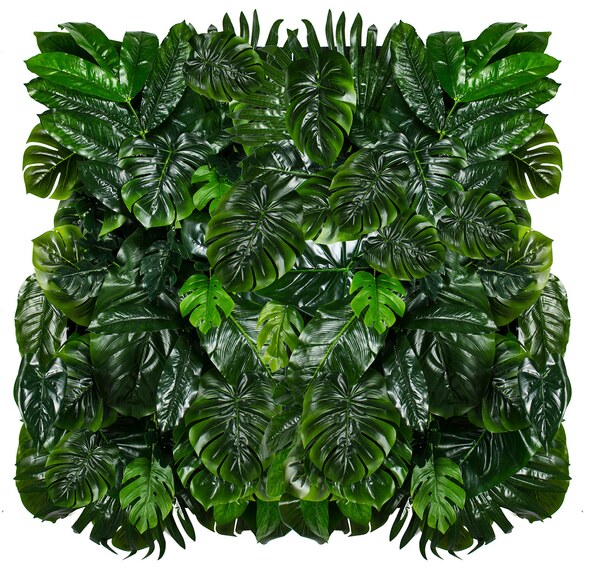 Vertikální zahrada Monstera Madness