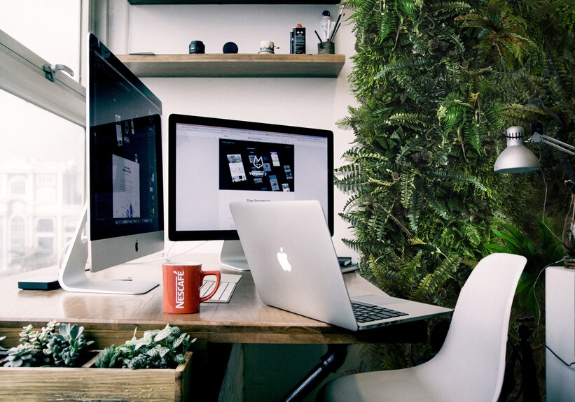 Vertikální zahrada Rainforest