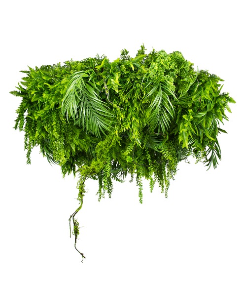 Podhled - FLOATING GARDEN GD511