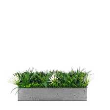 Výplň květináčů pro interiéry - Treeswift FR