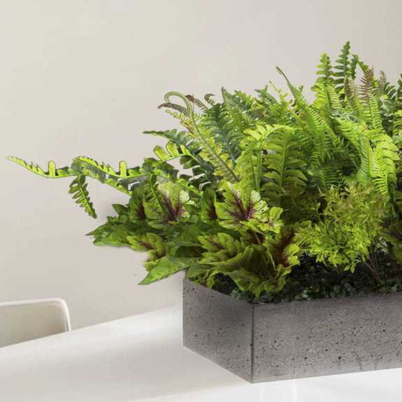 Výplň květináčů pro interiéry - Fairytale