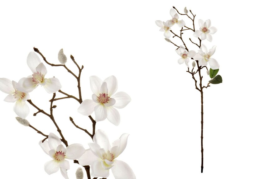 Magnolie, barva bílá UKK209-WH