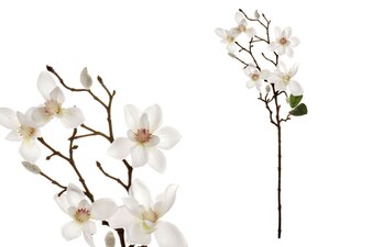 Magnolie, barva bílá UKK209-WH