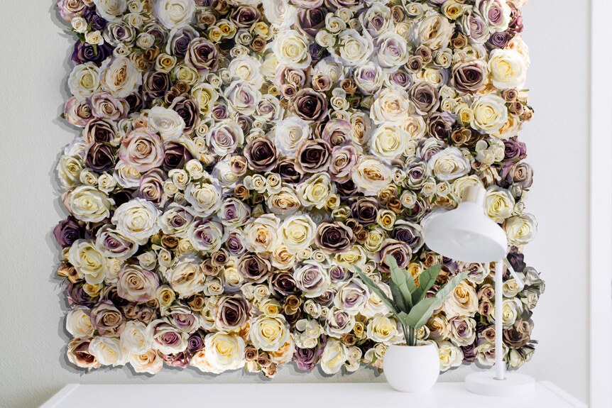 Vertikální zahrada Confidence