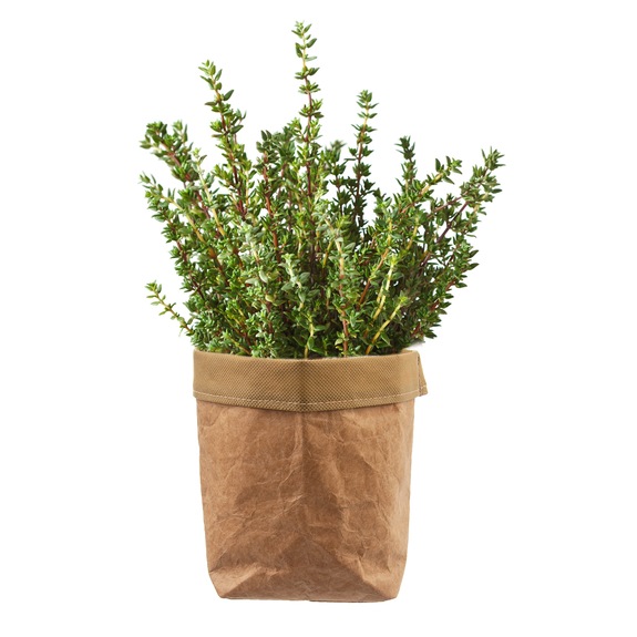 Obal na květináč papír pr. 12 cm