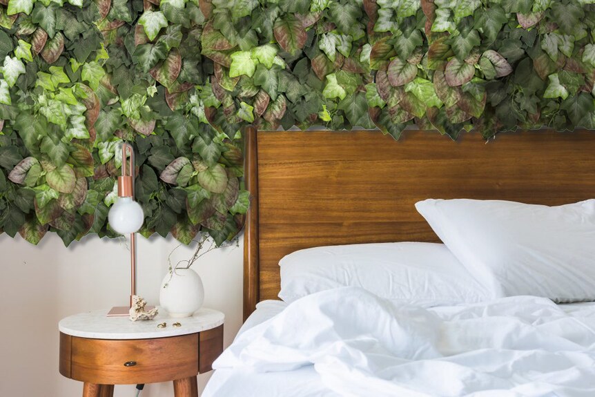 Vertikální zahrada Hedera