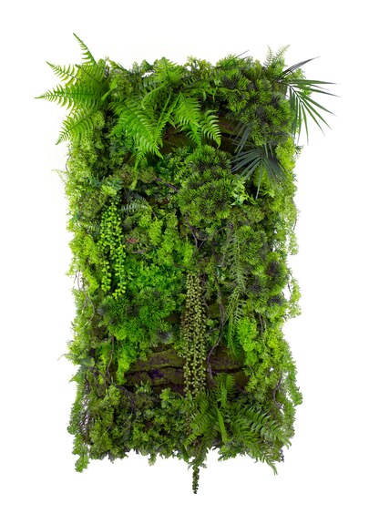 Vertikální zahrada Mountain Pine