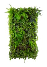 Vertikální zahrada Mountain Pine