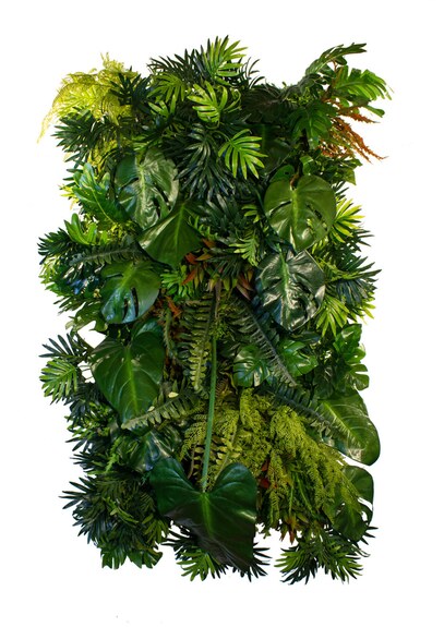 Vertikální zahrada Amazon Jungle