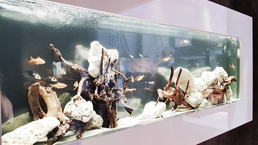 Nástěnné akvárium SNABYTEK 150 cm