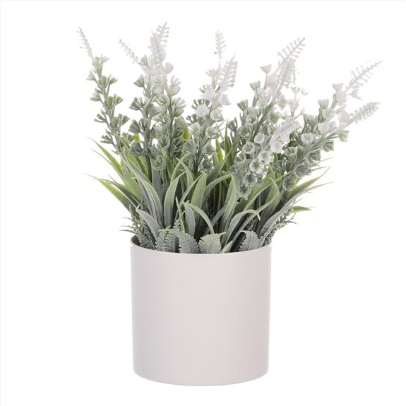 Vřes v obalu SG7328 šedivý