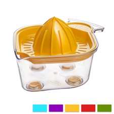 Lis na citrusy UH Fish 14x12 cm mix