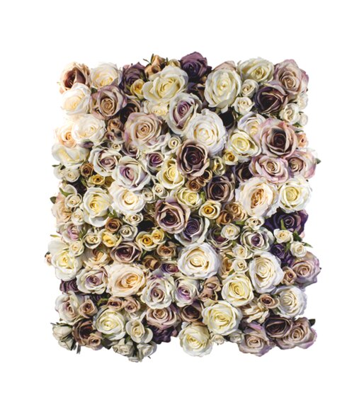 Obraz z růži - Confidence